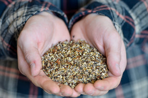 BIG FOUR NATIVE GRASS MIX